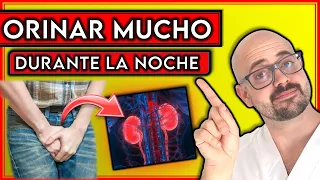 ¿Porqué ORINO mucho por la NOCHE? || ¡RAZONES de ORINAR demasiado de NOCHE!