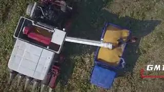 LOVOL GM100 corn harvesting