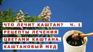 Что лечит каштан, ч  1  Рецепты лечения цветами каштана  Каштановый мед