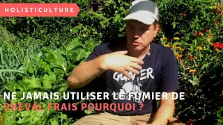 Ne jamais utiliser le fumier de cheval frais pourquoi ?