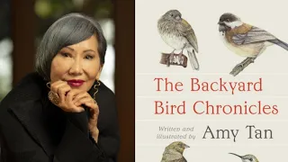 The Backyard Bird Chronicles By Amy Tan