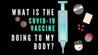 What does the COVID-19 vaccine do to my body?