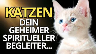 🐱 Die Mission der KATZEN | ihr Ziel in Ihrem LEBEN