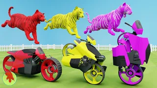 Paint Wild Animals Tiger And Robot, Tiger, Cow, T Rex, Elephant, Animals Fountain Compilation