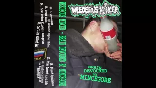 Weedeous Mincer - Brain Devoured By Mincegore FULL EP (2016 - Mincecore / Goregrind)