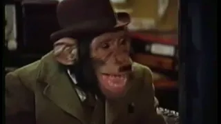 PG Tips Chimps Adverts Full collection