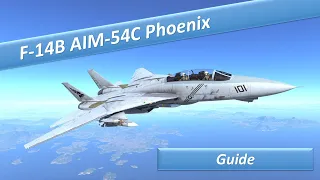 F-14B AIM-54C Phoenix Guide | War Thunder