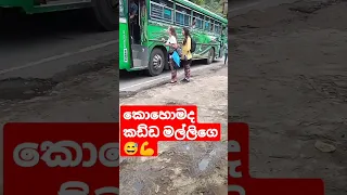 මිලියන 2.94 බලපු  Amazing cunducter😅😅in privet bus වෝට ෆෝල්ස් කිව්වා නැග්ගා💪💪💪👍🏆🎵 #automobile #funny