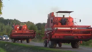 Bizon Super Z056 i Z057 dokaszanie gryki i zajzd do eskaeru