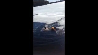 Careless Woman Falls Through Ice - 986148