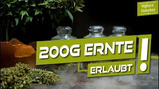 Das Gesetz ist jetzt... gut?! - News zur Legalisierung, Besitzgrenze, Eigenanbau und Abstandsregeln