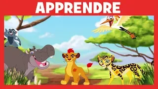 La Garde du Roi Lion : Apprendre les animaux