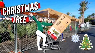 Getting Our Christmas Tree! Vlogmas Day 1