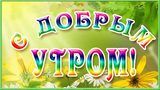 С Добрым Утром и Хорошим Днем!