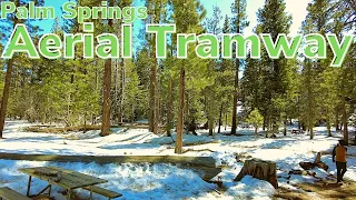 Palm Springs Aerial Tramway | Palm Springs California