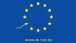 Born in the EU (Karaoke Version) - Spector