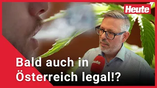 Cannabis: „Legalisierung light“ auch in Österreich?