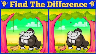 Find The Difference | spot the difference | Cat 🐱 monkey 🐒 quiz game | puzzle game #31