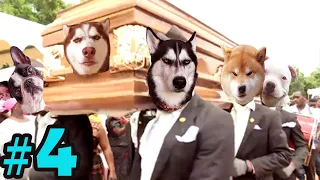 Coffin Dance Meme: Dog and Cat Meme Compilation 2021 #4