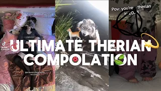 Ultimate Therian Compilation. || TikTok Compilation || 🐈🪱🍃 || #therian #quadrobics