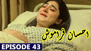 Ehsaan Faramosh Episode 43 Promo | Today Drama Ehsaan Faramosh Complete Episode 43 Teaser