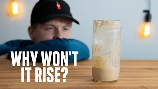 HOW TO FIX YOUR SOURDOUGH STARTER | Troubleshooting common issues