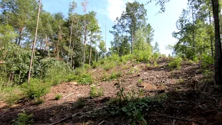 Native American Mound Discovered In The Woods Of Georgia (Early Georgia History!)