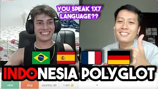 New Polyglot in Town 🇮🇩 (🇧🇷 🇩🇪 🇫🇷 🇺🇸)