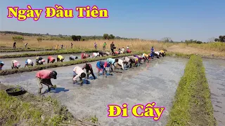 Linh Philip || Ngày Đầu Tiên ĐI CẤY Của Người Dân 2 Bản Trong Việt Phi Farm !!!