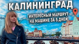 Калининград! Простой и интересный маршрут по городу и области на 5 дней.