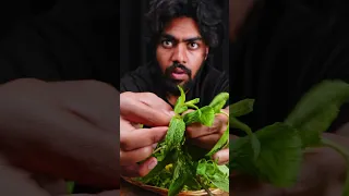 Pulse Mojito ASMR #shorts #mojito #asmr