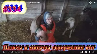 Плюсы и Минусы Стадного содержания Коз