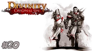 Divinity: Original Sin | Multiplayer Co-op | Part 20 | Fifth Element