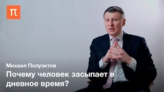 Гиперсомния — Михаил Полуэктов / ПостНаука