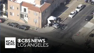 Pedestrian trapped and killed after car slams into South LA building