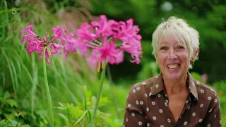 Gardening with Carol Klein 2021 - Series 3 Episode 3