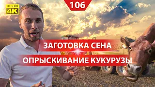 Заготавливаем сено из люцерны. Междурядная обработка. Вносим гербициды на кукурузу