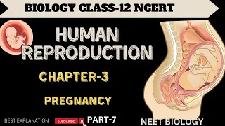 Class 12 Biology Chapter 2 | Human Reproduction I Pregnancy I  (2023-24)