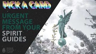 🔮 URGENT MESSAGES FROM YOUR SPIRIT GUIDES ✨ A TIMELESS TAROT PICK A CARD