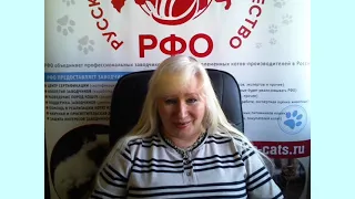 22-я Выставка кошек on line системы РСА + 2-я Выставка кошек on-line эко системы РФО.