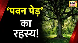 जड़ से जुदा एक ज़िंदा पेड़!, जहाँ ग्रैविटी का नियम बेअसर है! | Aadhi Haqiqat Aadha Fasana