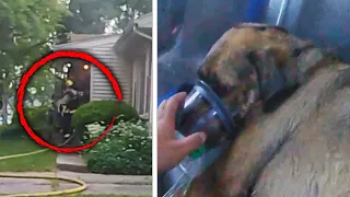 A Real-Time Look at How a Dog Was Saved From a House Fire