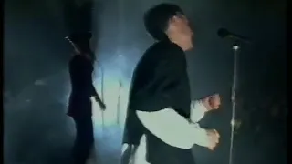 The Sugarcubes : Hit Live 1992