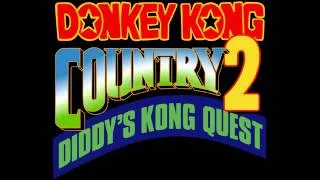 Stage Clear (Stickerbrush Symphony) - Donkey Kong Country 2 Diddy's Kong-Quest (SNES) Music419