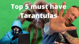 Top 5 must have tarantulas