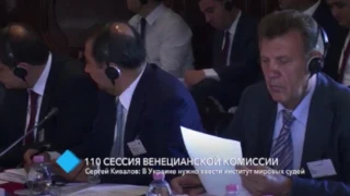 Сергей Кивалов принимает участие в 110-й сессии Венецианской комиссии