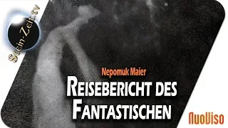 Reisebericht des Fantastischen - Nepomuk Maier bei SteinZeit