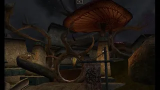 16 серия. Прохождение TES III Morrowind. Открываем новые земли!