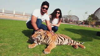 Umm Al Quwainn Zoo | Tiger Cub | Hidden Gems of UAE