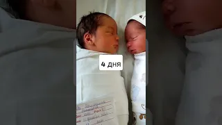 Такие маленькие родились 🥰А с каким весом у вас родилась двойня? #двойняшки #двойня